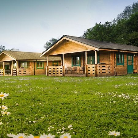 סאות' סרני Lake Pochard Holiday Lodges מראה חיצוני תמונה
