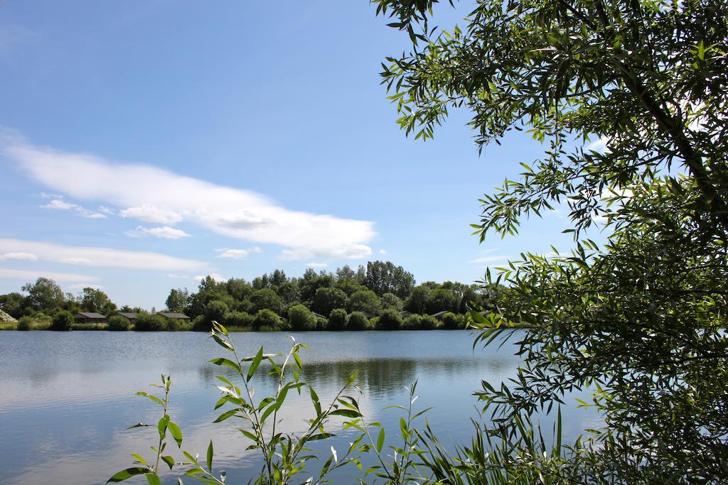 סאות' סרני Lake Pochard Holiday Lodges חדר תמונה