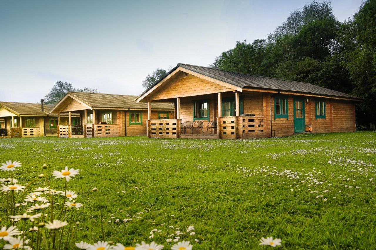 סאות' סרני Lake Pochard Holiday Lodges מראה חיצוני תמונה