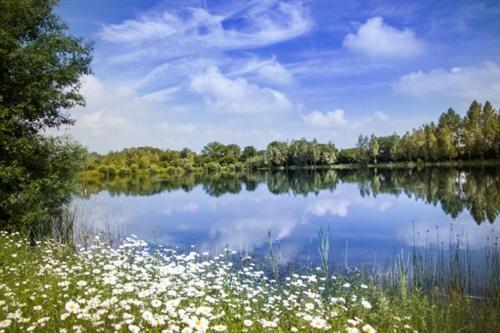 סאות' סרני Lake Pochard Holiday Lodges מראה חיצוני תמונה